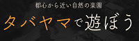 タバヤマで遊ぼう