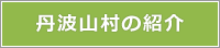 丹波山村の紹介