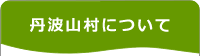 丹波山村について